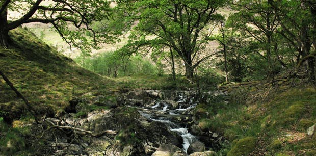 View of where the track back to Loch Trool crosses the Gairland Burn