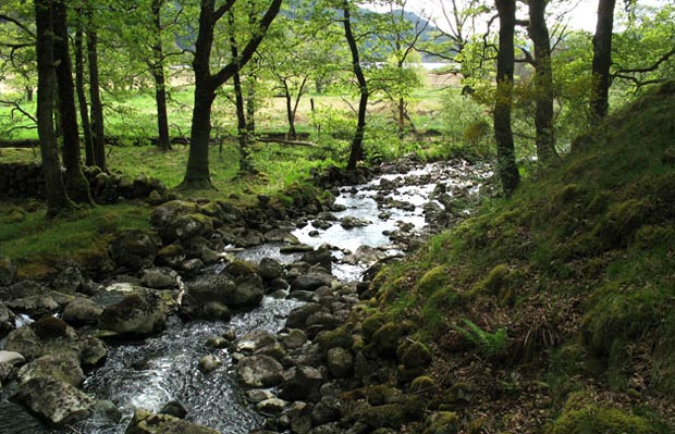 View of where the track back to Loch Trool crosses the Gairland Burn with Loch Trool beyond