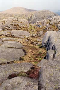 Mulwharchar from Craignaw.