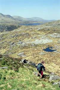 Coming off the top of Craignaw heading northwards.