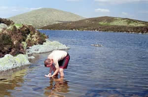 Loch Enoch with Mulwharchar behind it.