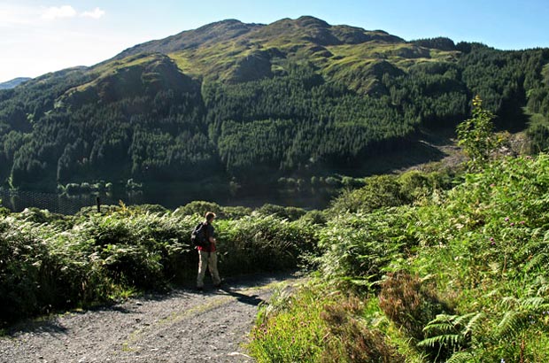 View of Loch Trool with Mulldonoch beyond (site of the battle)