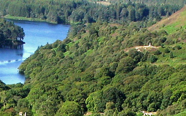 View of Loch Trool from near the top of Black Gairy - detail with Bruce's Stone