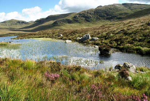 Where to cross the burn running out of Loch Neldricken