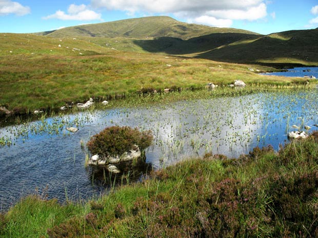 View of Merrick from the south end of Loch Neldricken