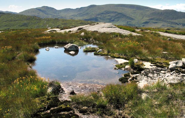 View of rock pool and Minnigaff Hills from ascent of Craignaw