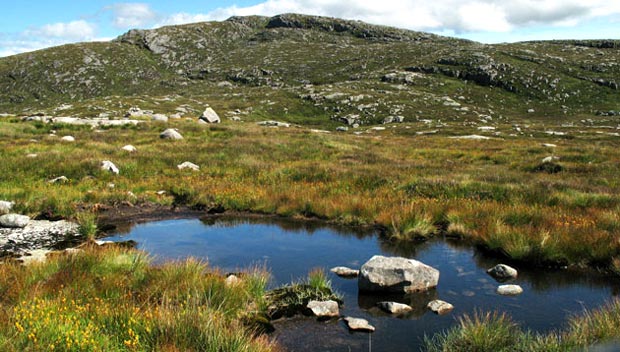 View of rock pool and Craignaw