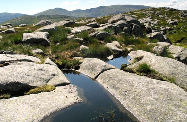 Characteristic rocky terrain on Craignaw with Minnigaff Hills in the distance