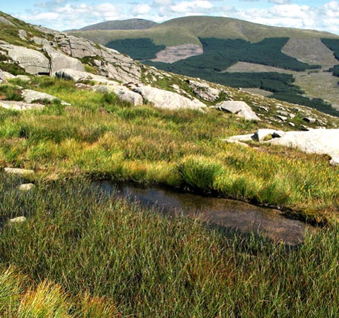 Corserine and Carlin's Cairn in the Rhinns of Kells from Craignaw in the Dungeon Hills