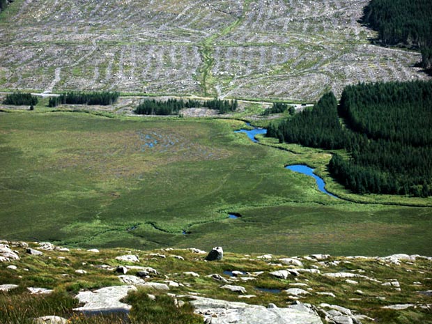 View into the Silver Flowe from Craignaw