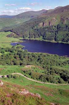 View of the Location of Bruce's Stone  and the battle site from Eschoncan