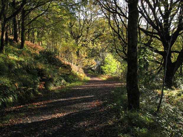 Heading east along the National Cycle Track from Glentrool