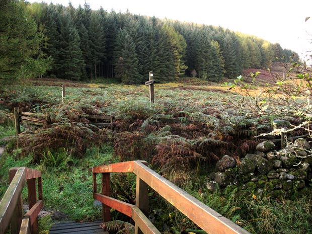 View of the point where we join the Southern Upland Way