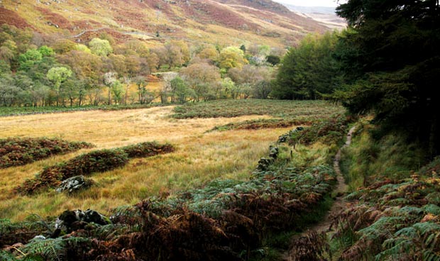 Looking back to where we crossed the Glenhead Burn and joined the SUW