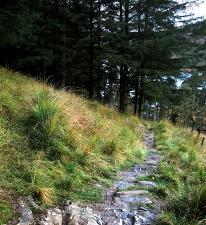 Rough track leaving the Southern Upland Way