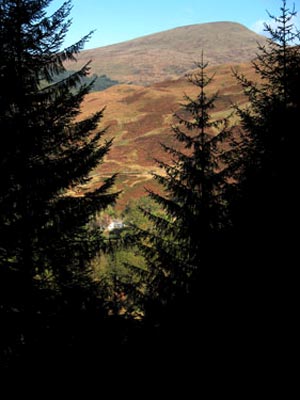 View down through the gap in the trees that we are using to ascend