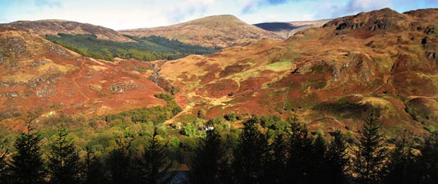 View north from above the tree line to Bennan, Benyellary and Buchan Hill