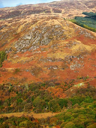 View straight across Loch Trool to Eschoncan