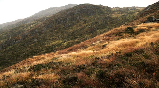 View from White Bennan towards Mulldonoch