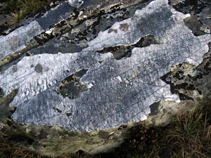 Quartz patches on Rrocky outcrop near the top of Mulldonoch