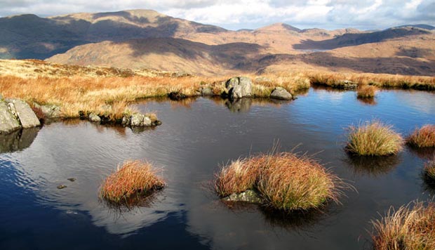 Looking north over one of the Lochans around the top of Mulldonoch