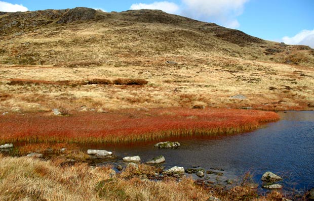 View from Nick of the Lochans towards Mulldonoch