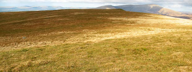 View Across the top of Cambric Hill towards Benyellary and the Merrick from near the top of Lamachan