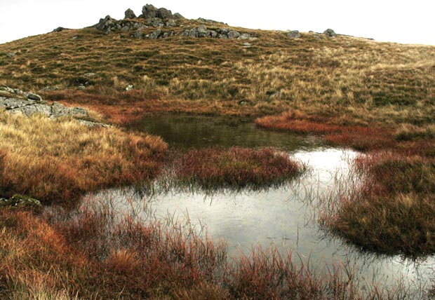 View of the top of Bennanbrack ahead with a little lochan in foreground