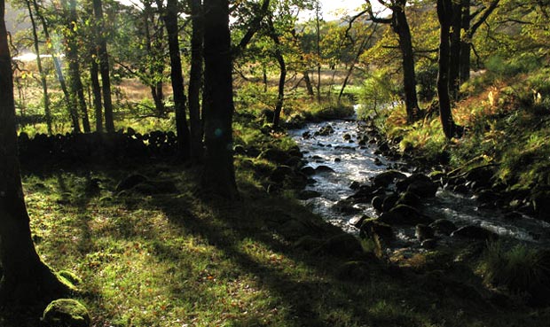 View from National Cycle Route 7 as we make our way along it back to Glentrool