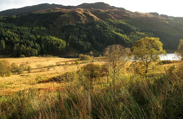 View of Mulldonoch and Glentrool from National Cycle Route 7