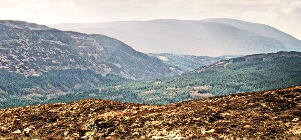 Looking south along the valley between Cairngarrock and Darnaw