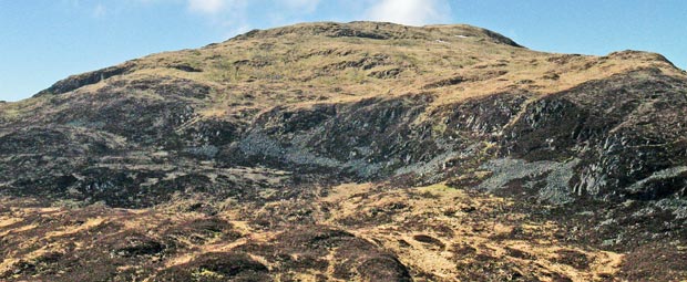 Millfore from the forest road near Mulwhurn - detail