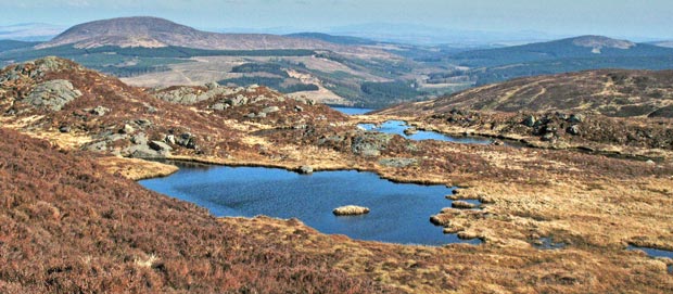 Lochans on the top of Darnaw with Cairnsmore of Dee beyond