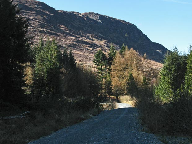 Returning along the forest track to Craigencallie