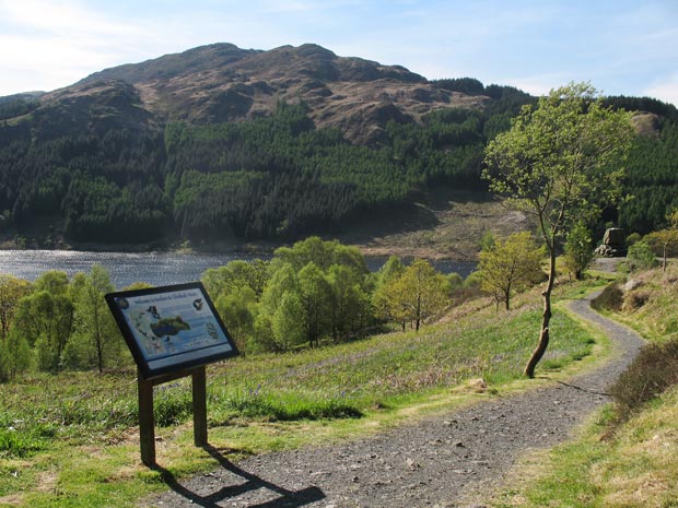 View of Bruce's Stone, Loch Trool and Mulldonoch
