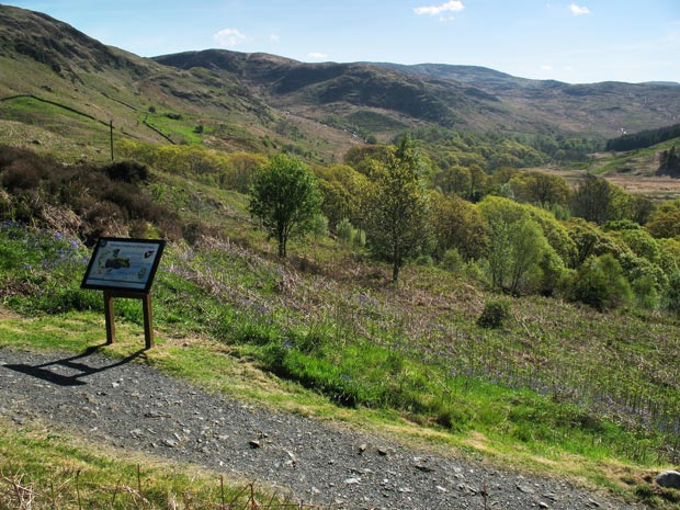 Looking east from Bruce's Stone towards Glenhead