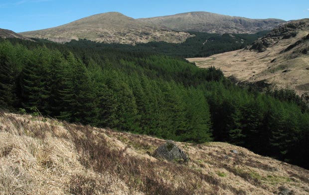 Benyellary and the Merrick as seen from Eschoncan  Fell