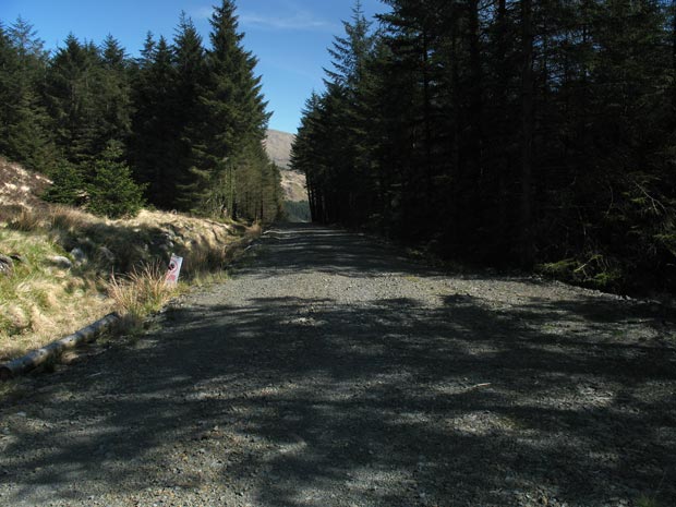 Forest track that leads to Culsharg from between Eschoncan Fell and  Bennan