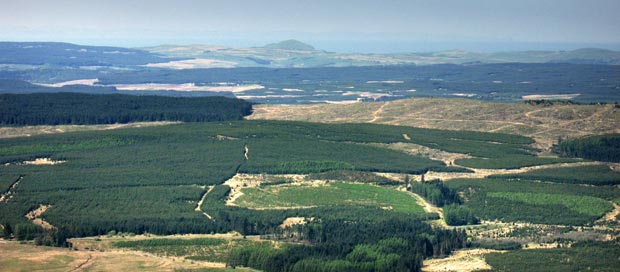 View looking west from the top of Bennan  towards Knockdolian and the Antrim coast