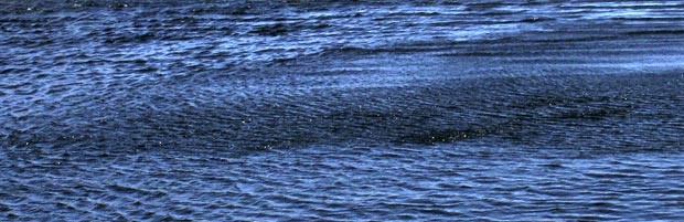 Wind gust scudding across a lochan on the top of Bennan