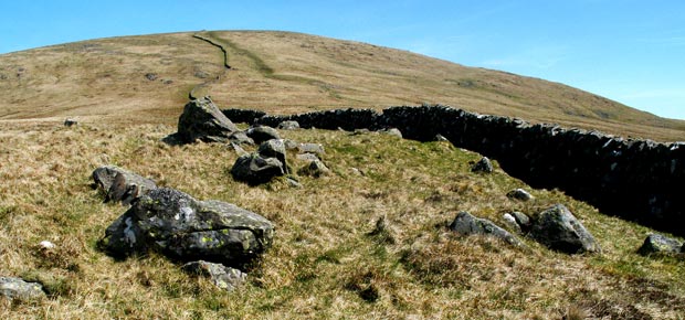 View of the dry stane dyke snaking up the south side of Benyellary