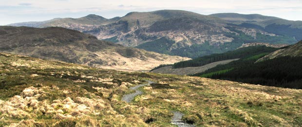 The track coming down off Benyellary on the tourist route back to Glentrool