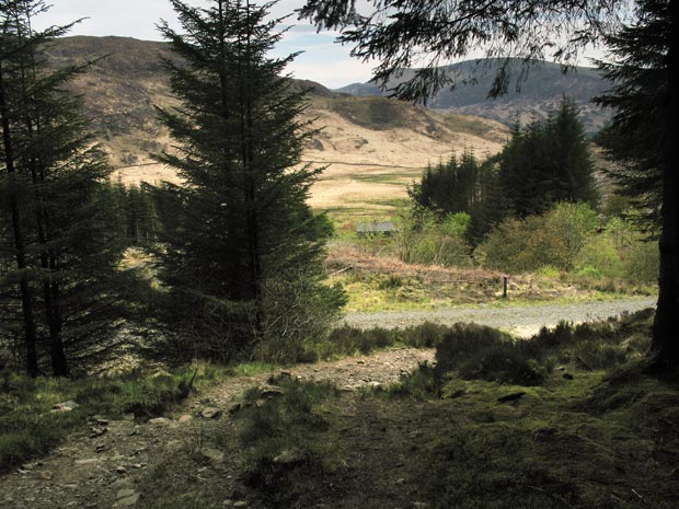 About to cross the forest track at Culsharg bothy.