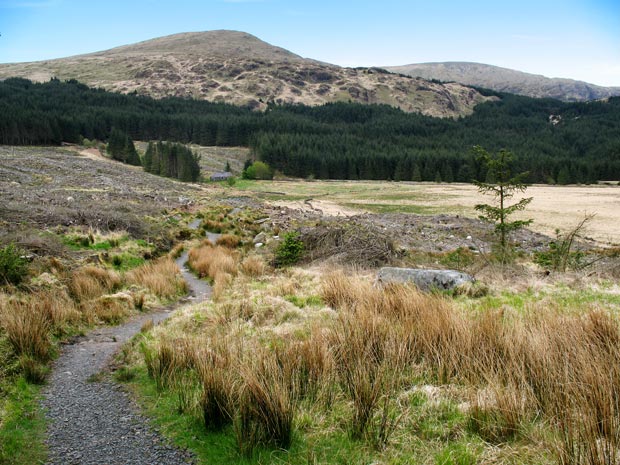 The tourist route track coming from Culsharg bothy with Benyellary and the Merrick beyond