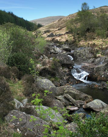 Looking back up the Buchan Burn  to Benyellary