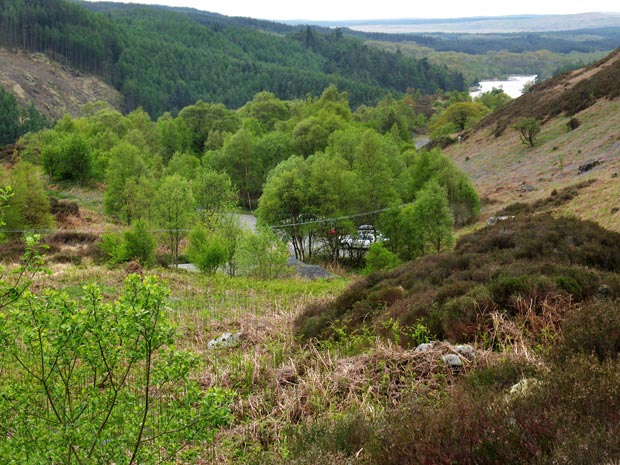 Arriving back at the car park by Bruce's Stone with Loch Trool in the background