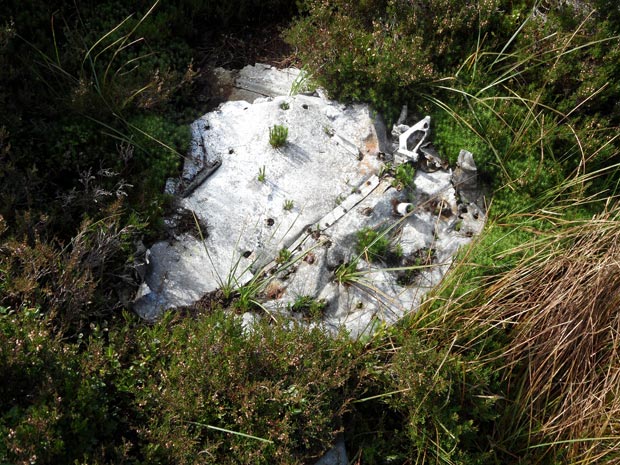 Part of the fuselage with grass growing through it