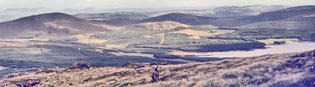 View from near the top of Meikle Millyea looking SSE towards Clatteringshaws Loch and Cairnsmore of Dee