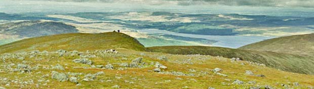 View from the top of Carlin's Cairn looking north towards Meaul