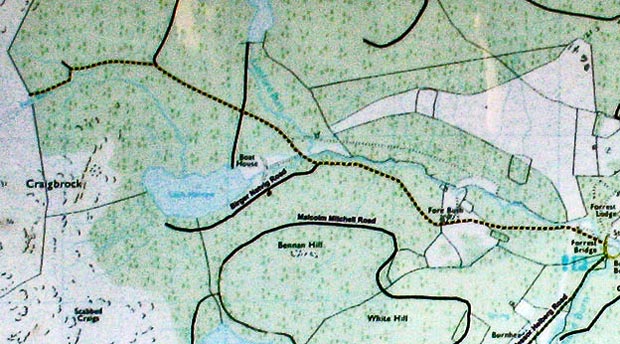 Estate map of walking routes through the forest at Fore Bush car park